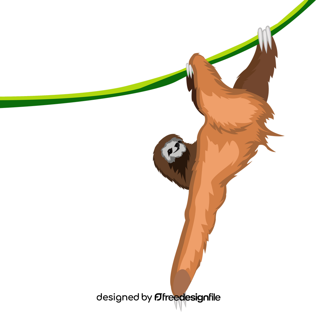 Sloth clipart