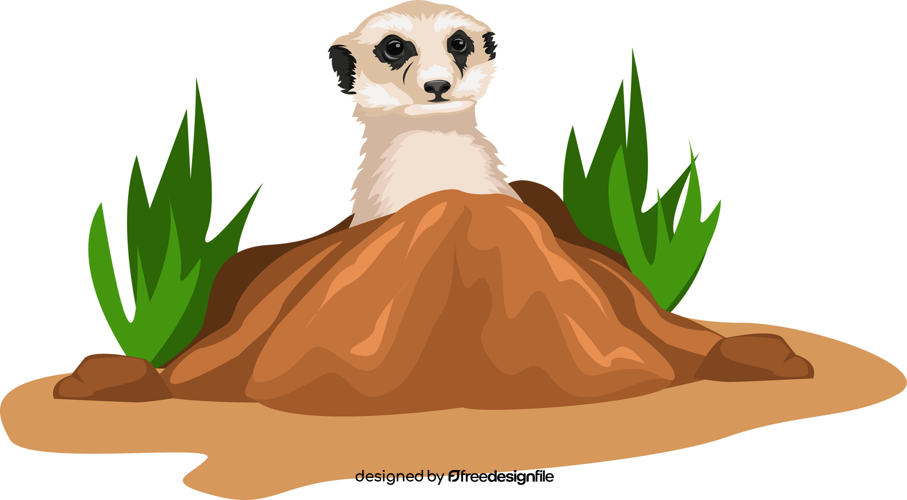 Meerkat clipart