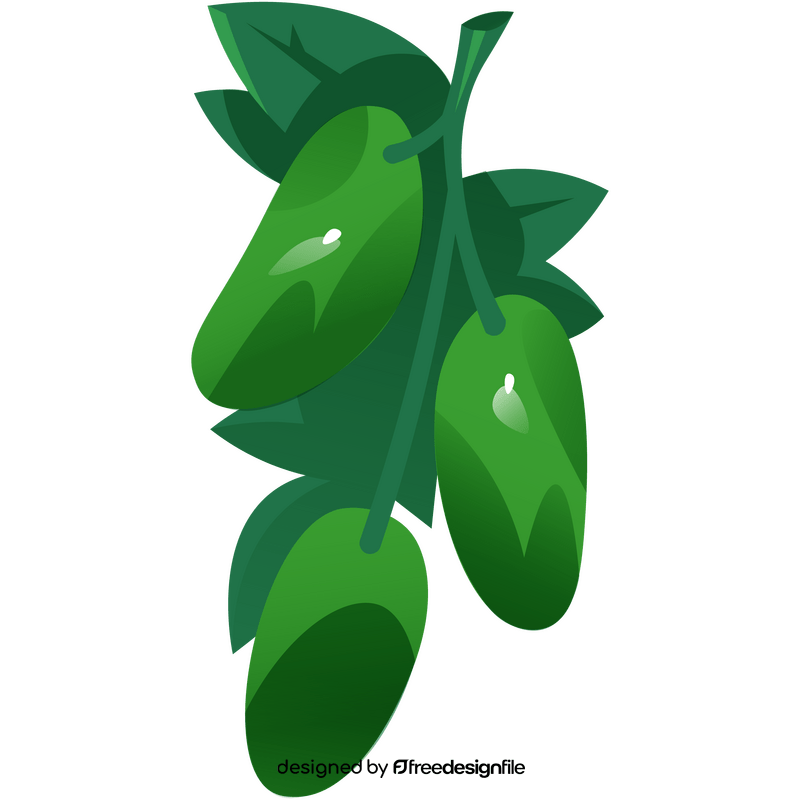 Cucumber plant clipart