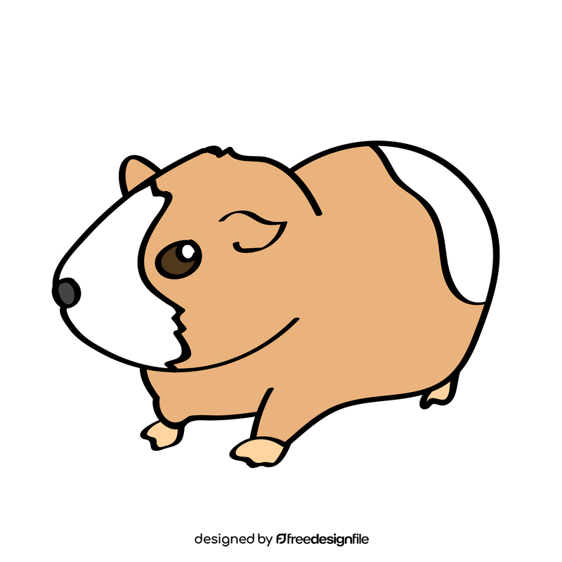 Guinea Pig clipart