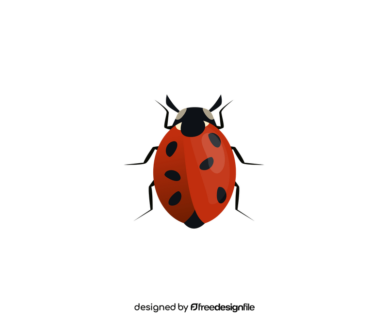 Ladybug clipart