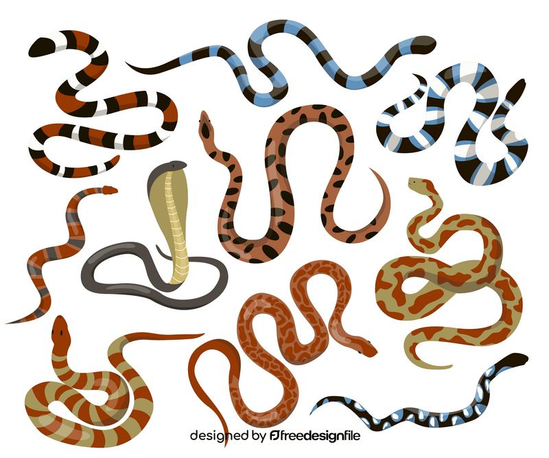 Snakes vector