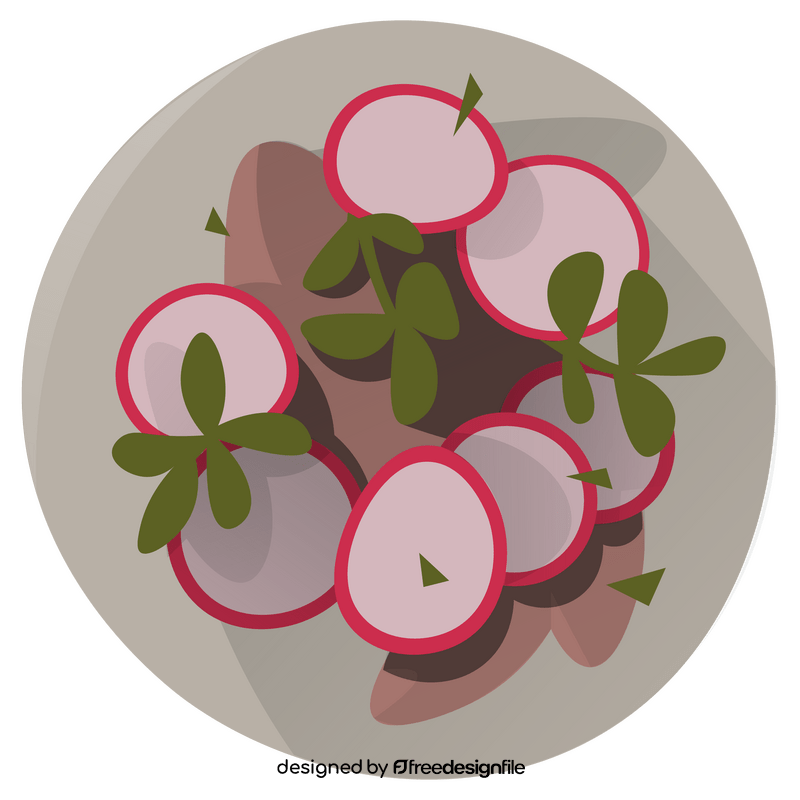 Radish salad clipart