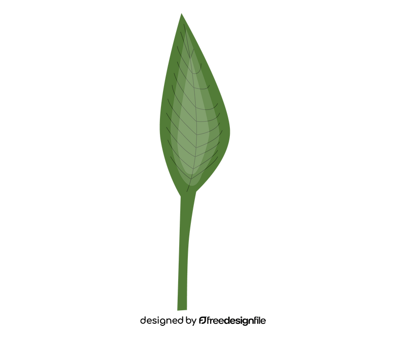 Leaf cartoon clipart