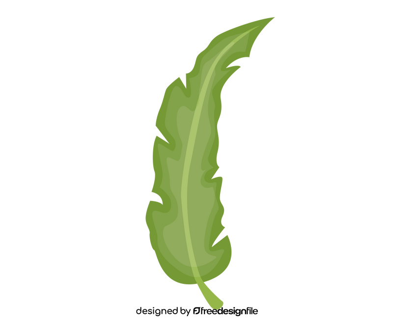 Leaf clipart