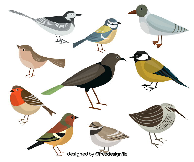 Birds vector