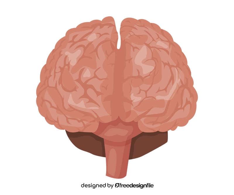 Brain cartoon clipart