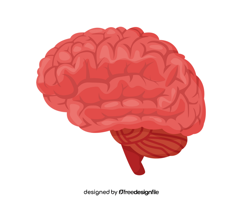 Brain clipart