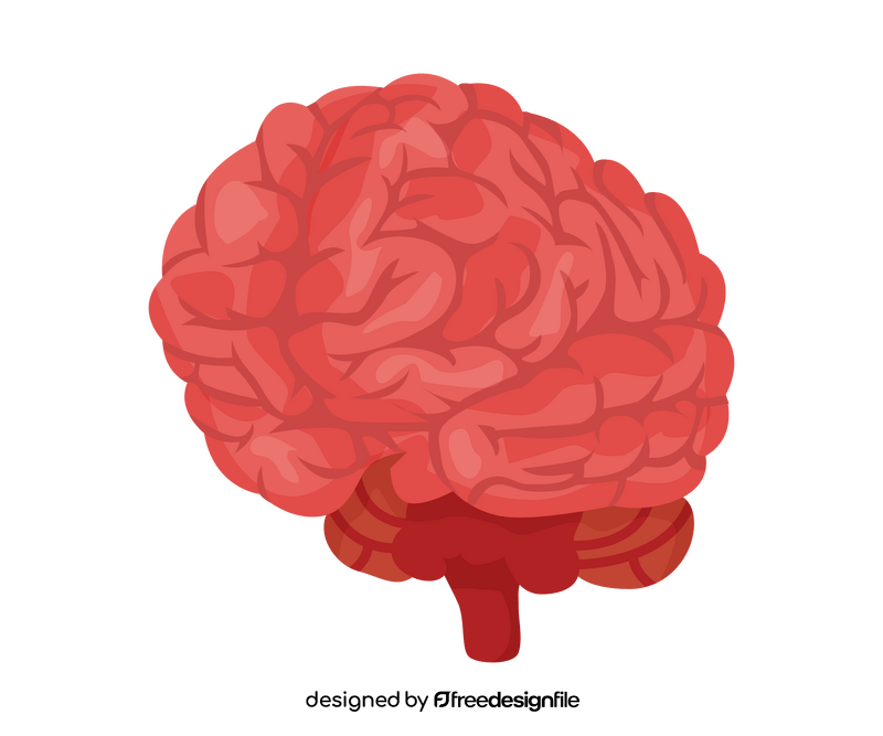 Brain clipart