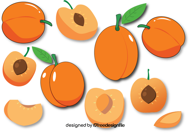 Apricot vector