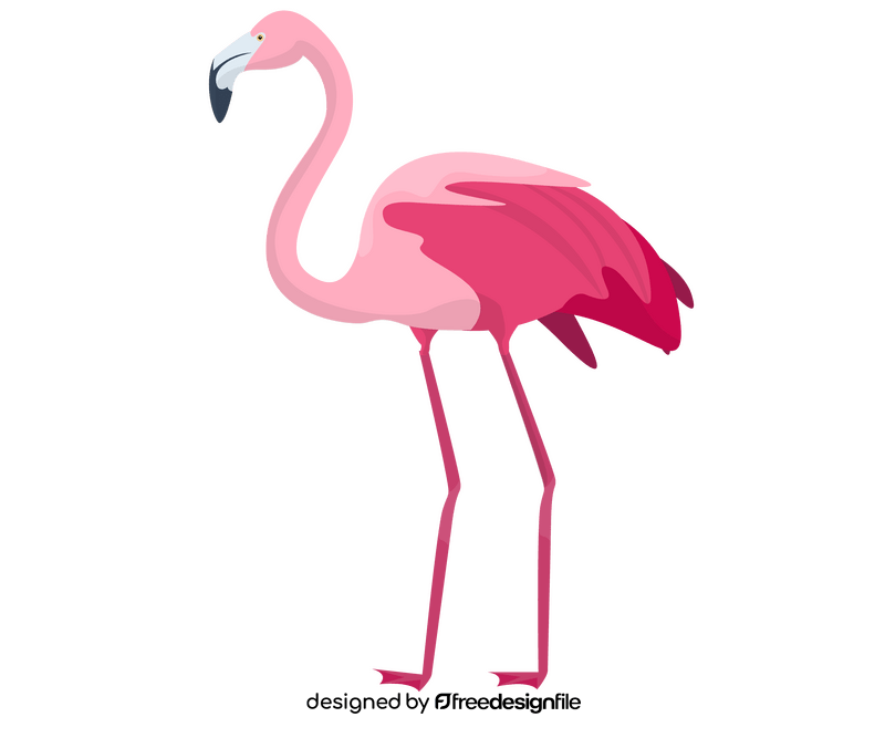 Flamingo cartoon clipart