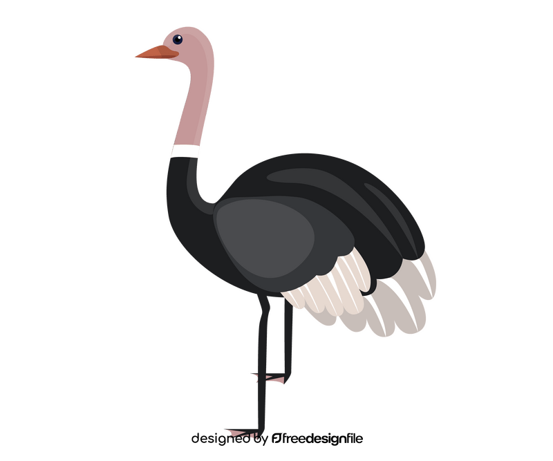 Ostrich illustration clipart