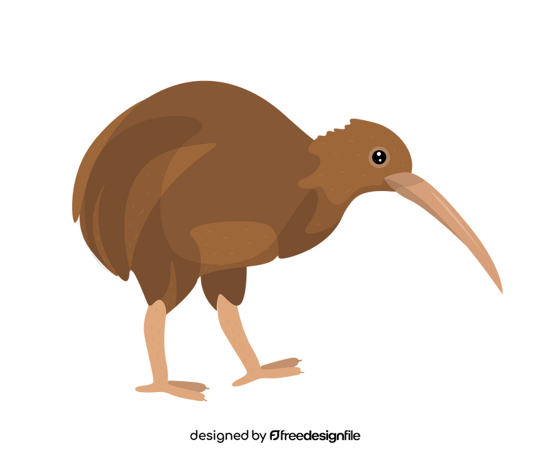 Kiwi bird chicken clipart