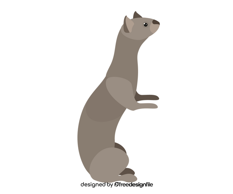 Cartoon least weasel clipart