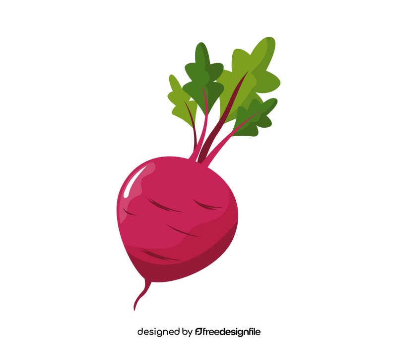 Fresh beet clipart