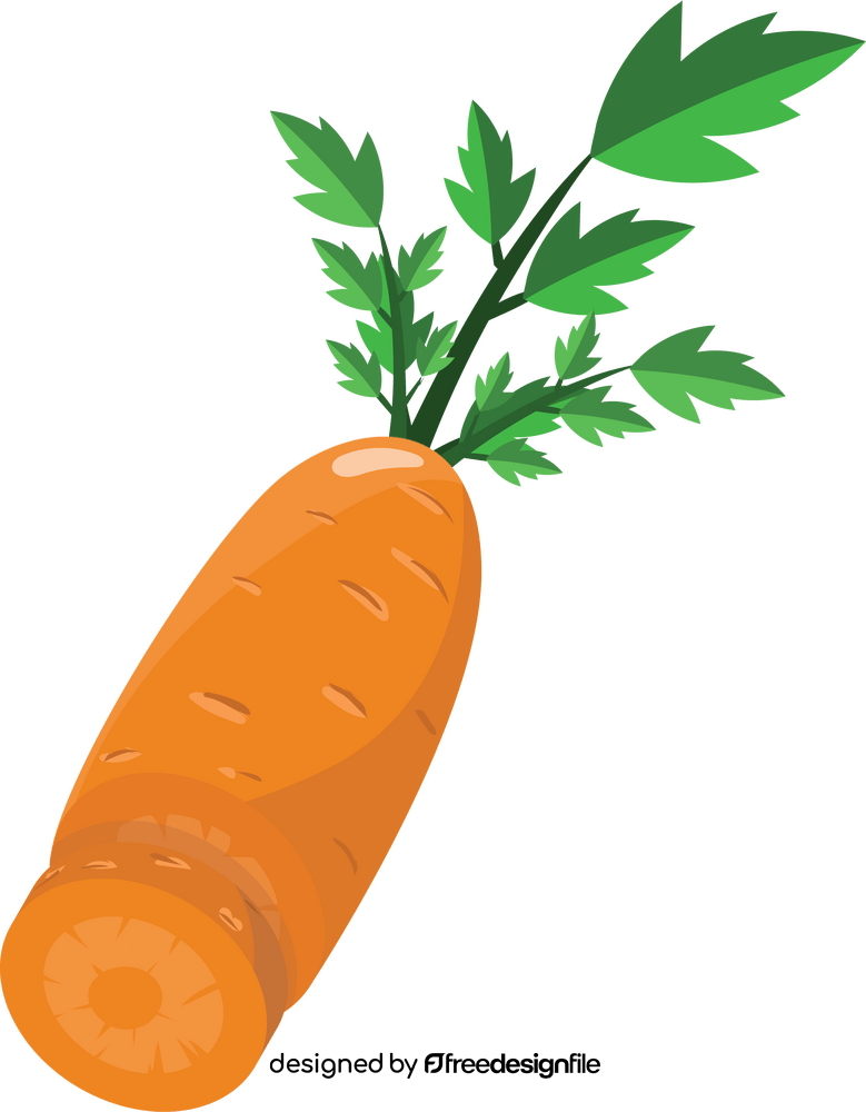 Carrot Cut in Half clipart