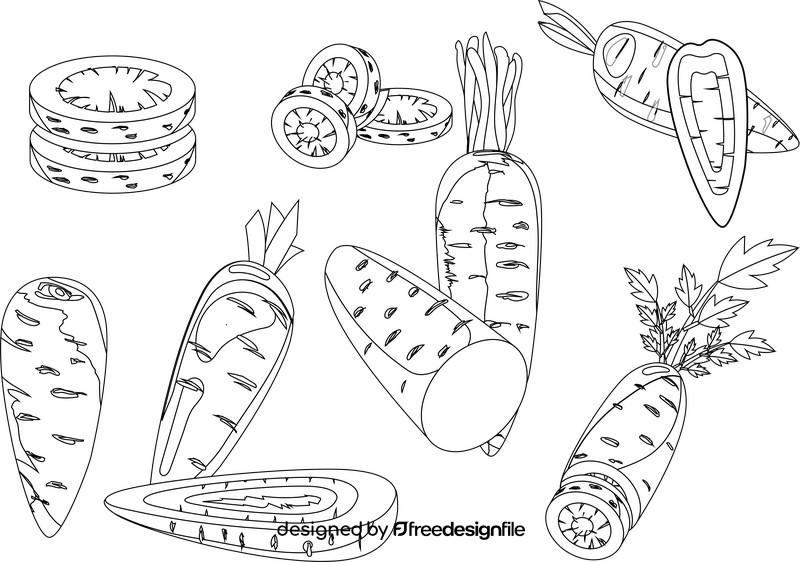 Carrot black and white vector