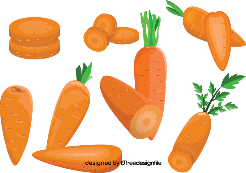 Carrot vector