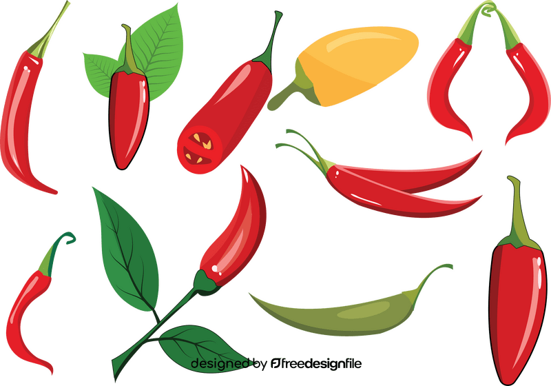 Chili Pepper vector