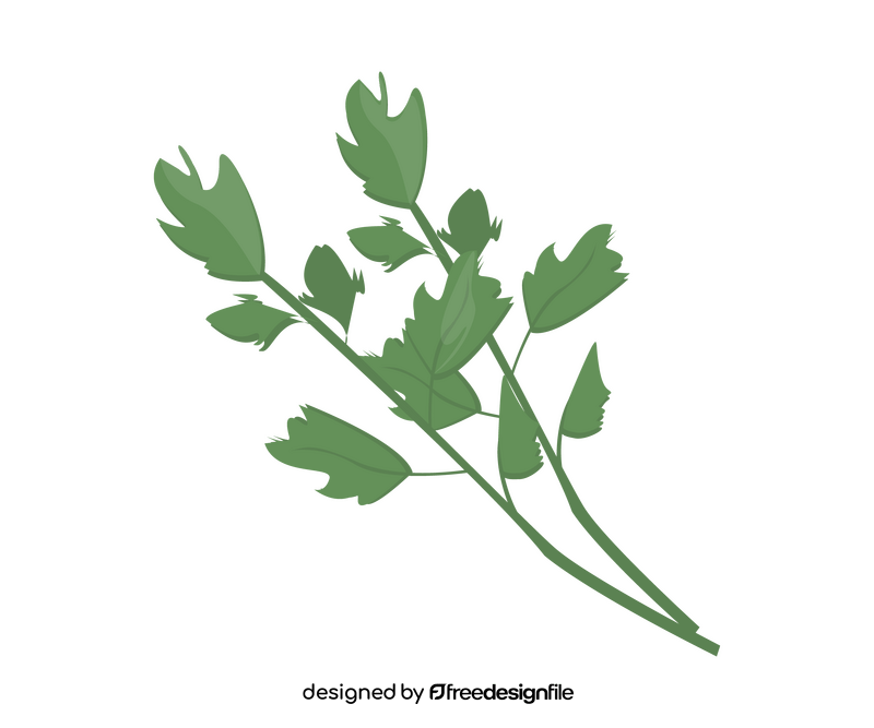 Cartoon parsley leaf clipart