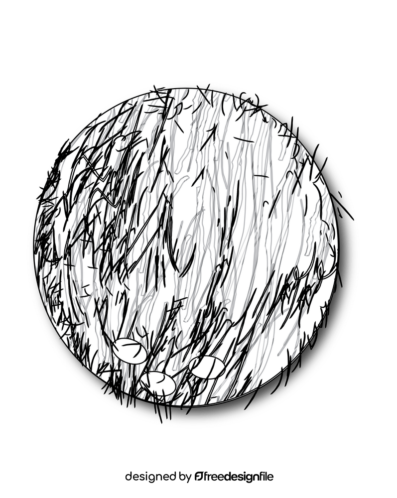 Coconut black and white clipart