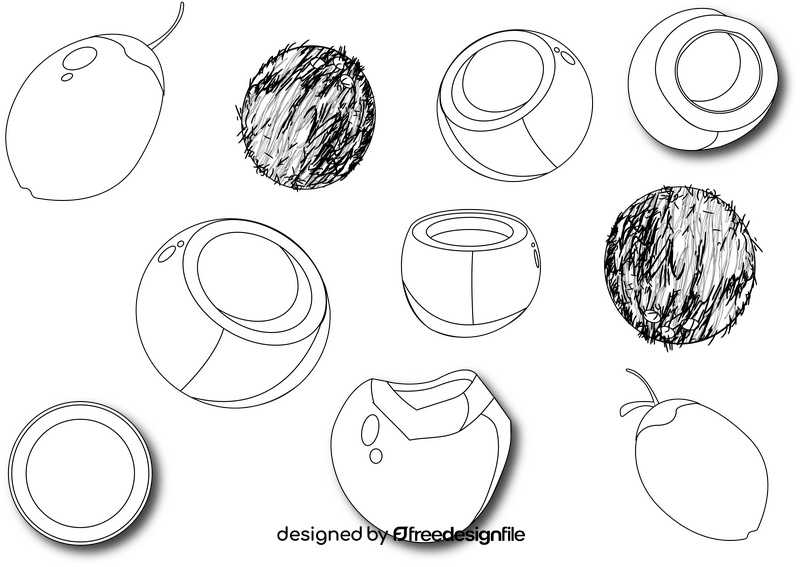 Coconut black and white vector