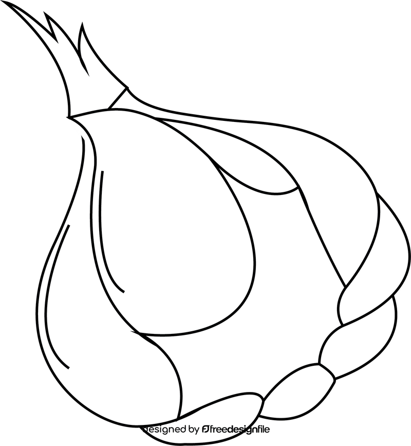 Garlic Bulb black and white clipart