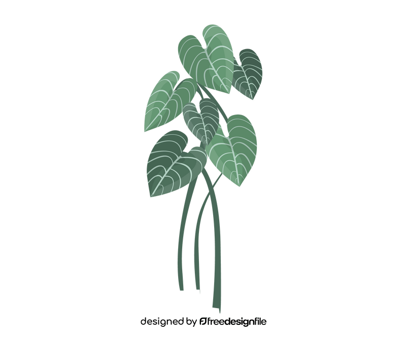 Plant leaf clipart