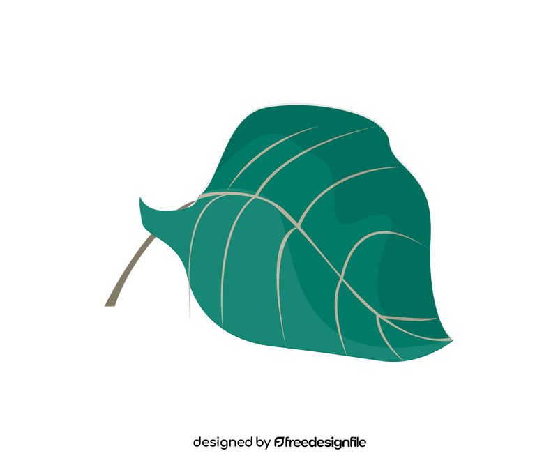 Plant leaf illustration clipart