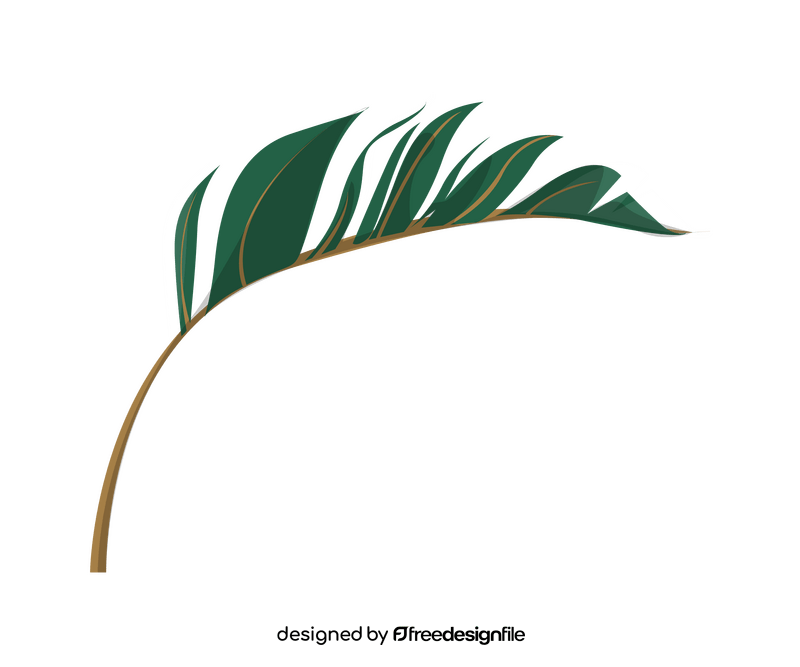 Plant leaf cartoon clipart