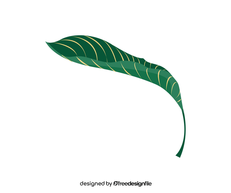 Plant leaf drawing clipart