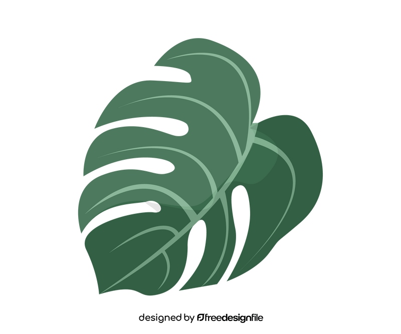 Monstera leaf clipart