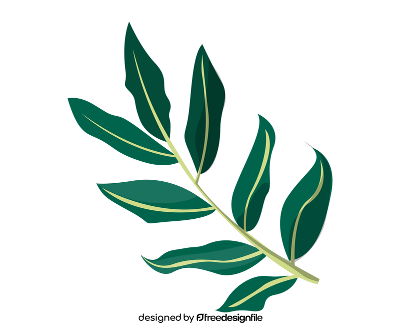 Plant leaves clipart