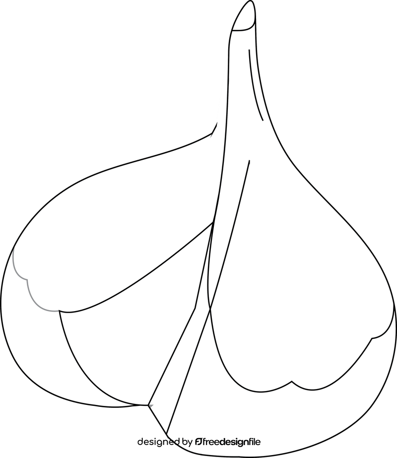 Garlic black and white clipart