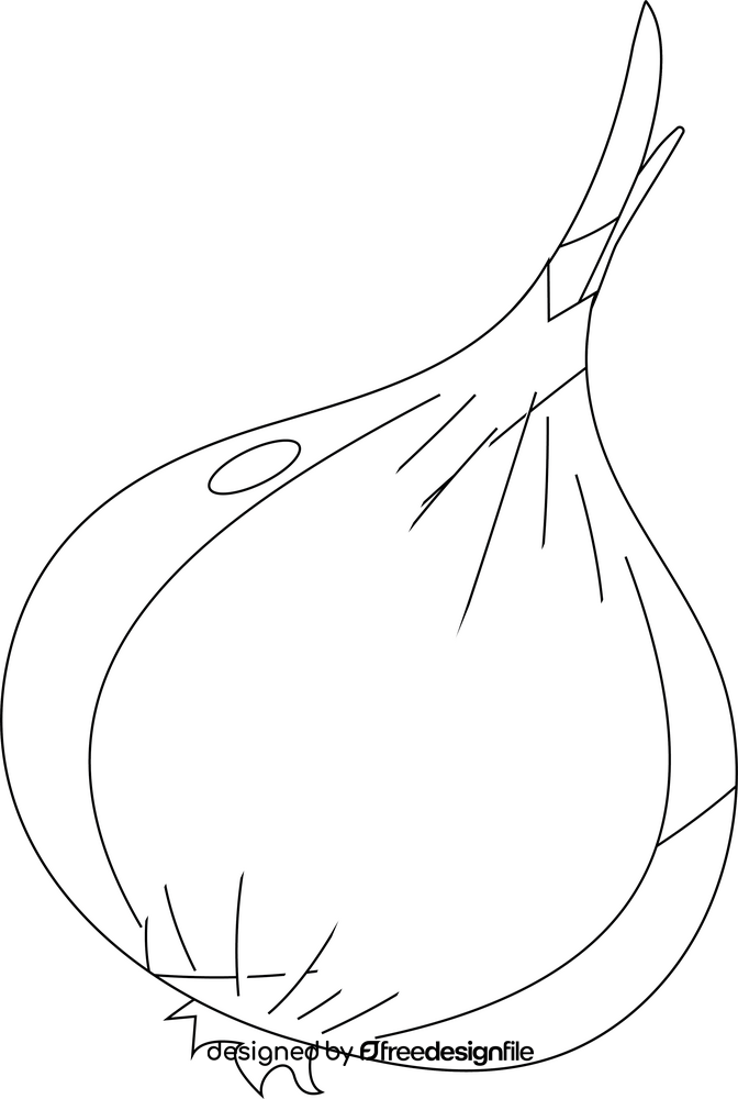 Onion black and white clipart