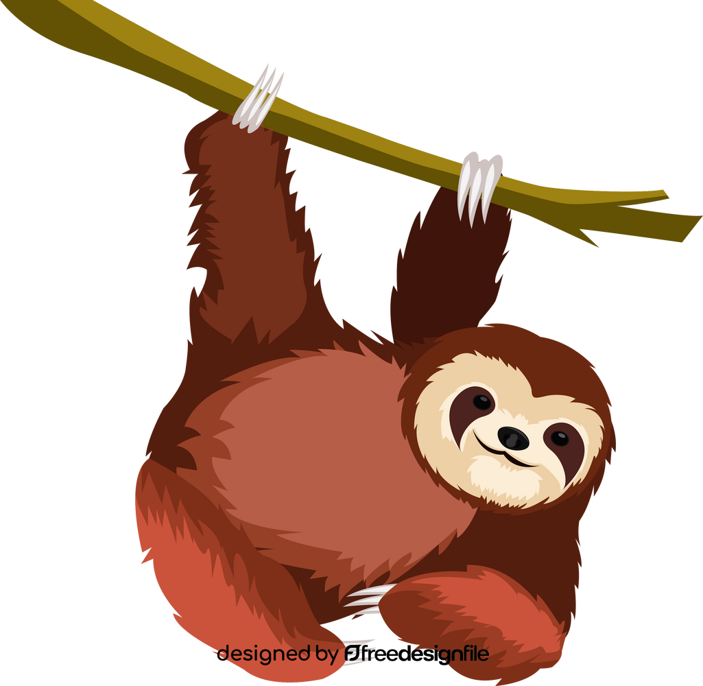 Cute sloth clipart
