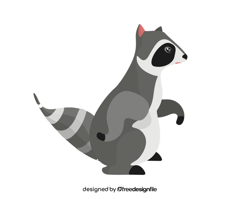 Raccoon clipart