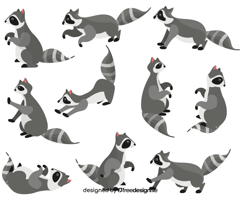 Cute raccoons vector