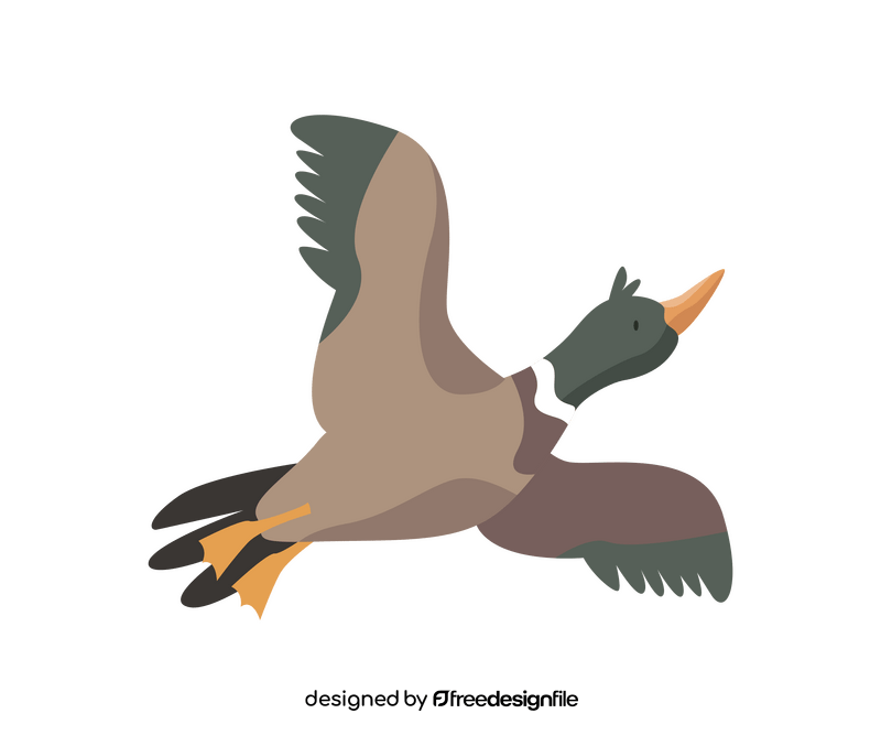 Mallard flying clipart