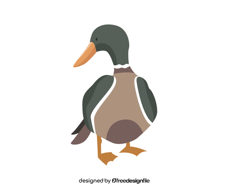 Wild duck drawing clipart