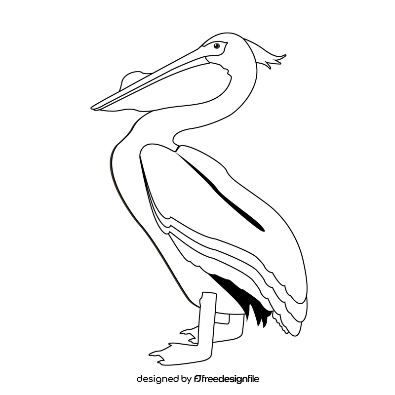 Pelican black and white clipart