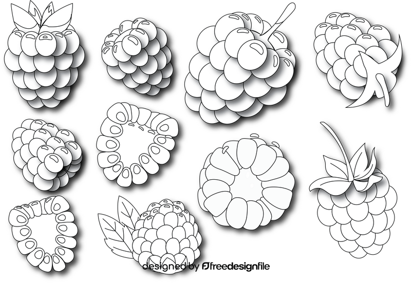 Raspberry black and white vector