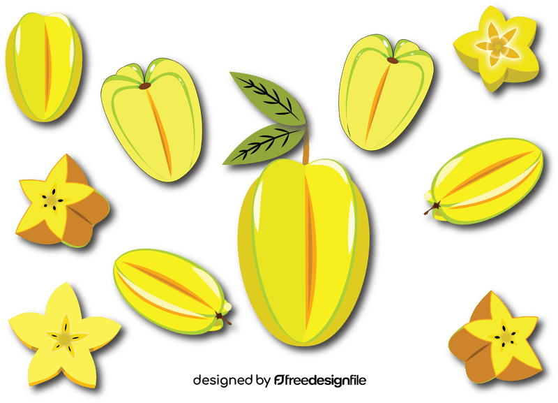 Starfruit vector