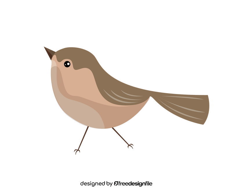 Cartoon bird clipart