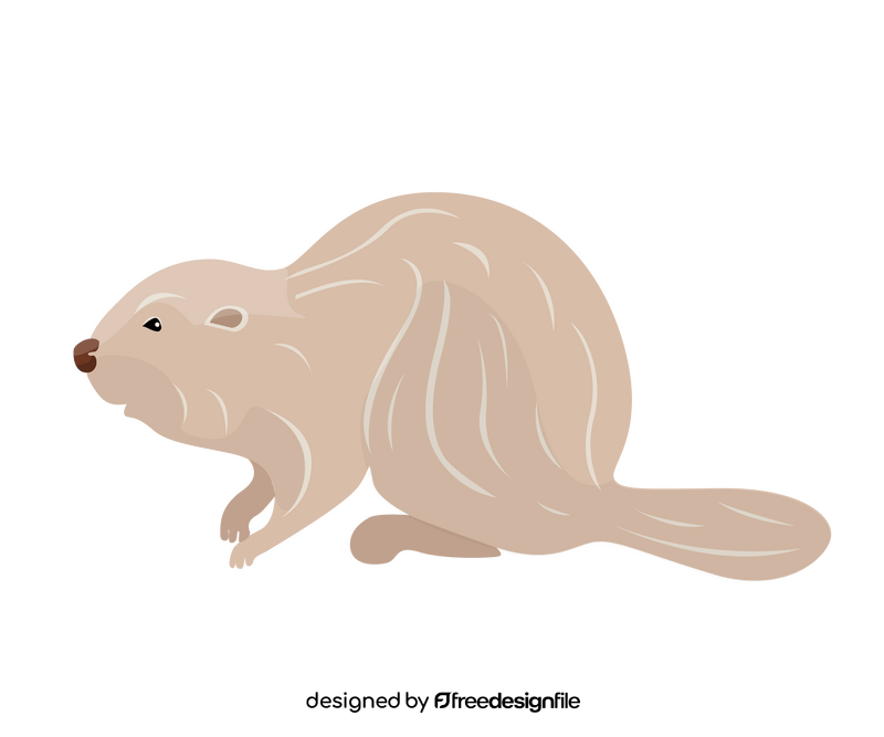 Beaver clipart