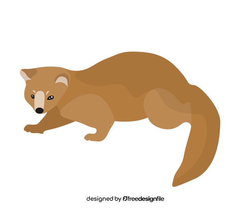 Cartoon least weasel clipart