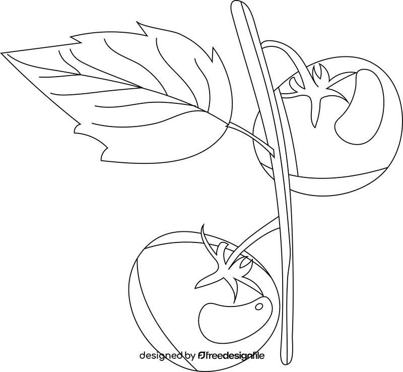Tomatoes with Leaves black and white clipart