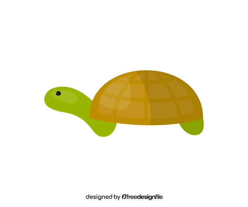 Cartoon turtle clipart