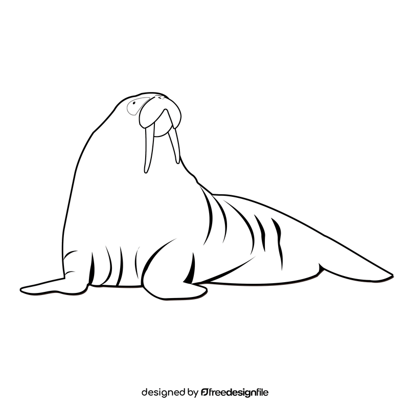Sea lion black and white clipart