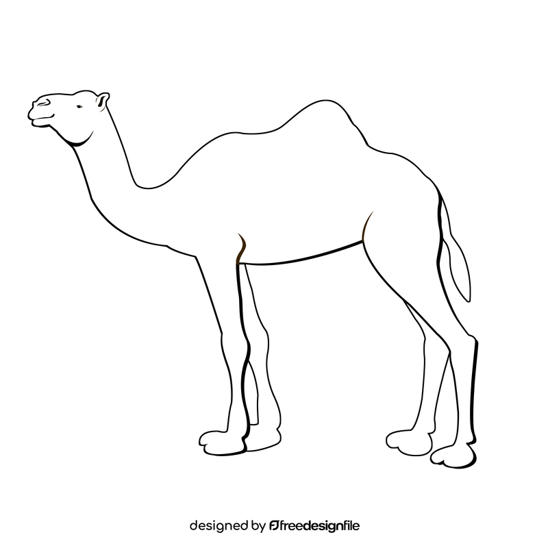 Camel black and white clipart